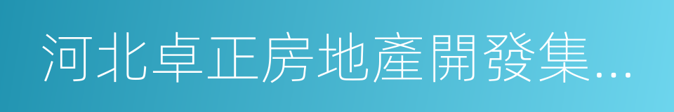 河北卓正房地產開發集團有限公司的同義詞