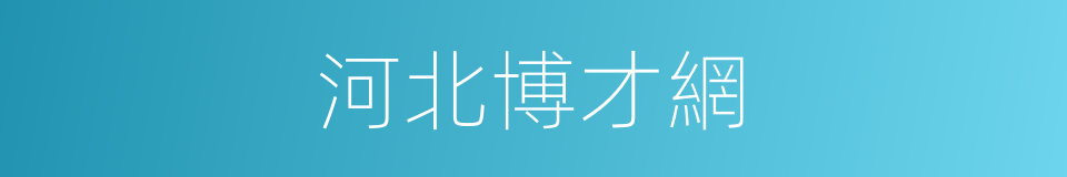 河北博才網的同義詞