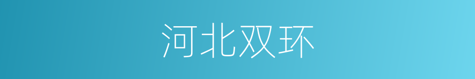 河北双环的同义词