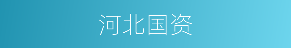 河北国资的同义词