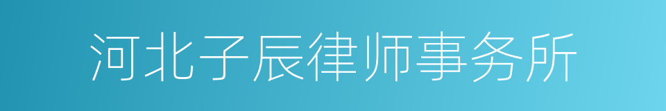 河北子辰律师事务所的同义词