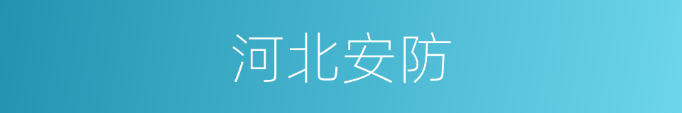 河北安防的同义词
