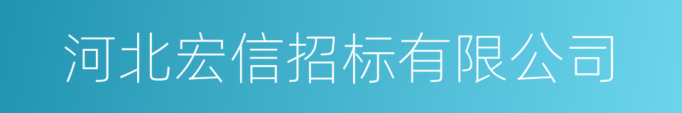 河北宏信招标有限公司的同义词