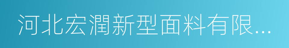 河北宏潤新型面料有限公司的同義詞