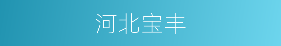 河北宝丰的同义词