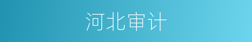 河北审计的同义词