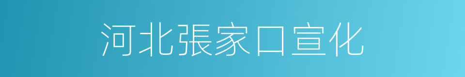 河北張家口宣化的同義詞