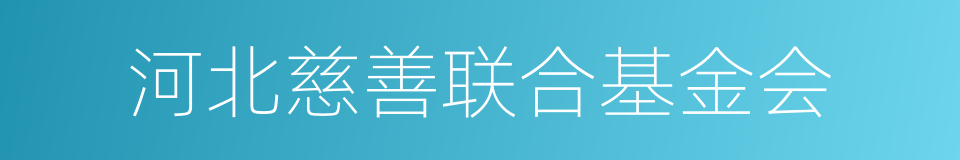 河北慈善联合基金会的同义词