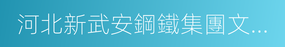 河北新武安鋼鐵集團文安鋼鐵有限公司的同義詞