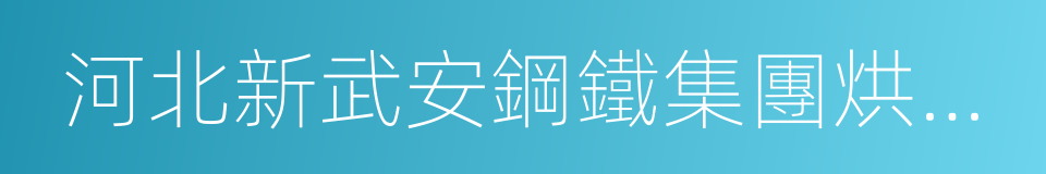 河北新武安鋼鐵集團烘熔鋼鐵有限公司的同義詞