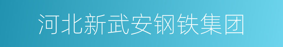 河北新武安钢铁集团的同义词