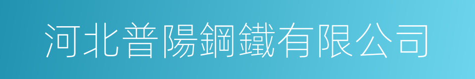 河北普陽鋼鐵有限公司的同義詞