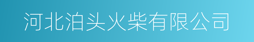 河北泊头火柴有限公司的同义词