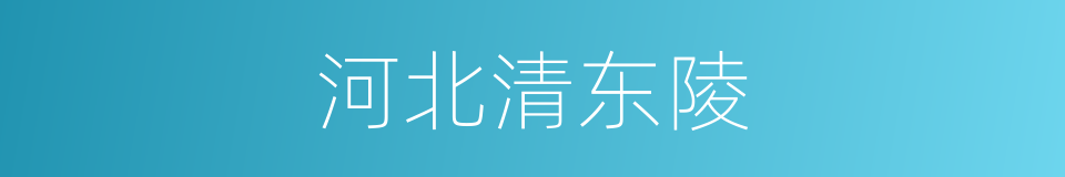 河北清东陵的同义词