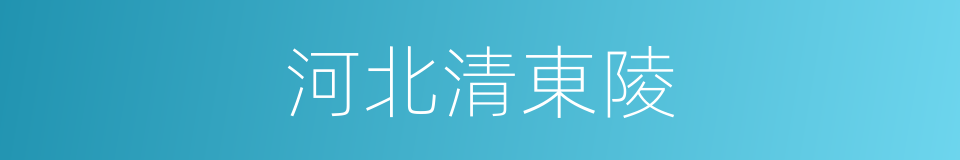 河北清東陵的同義詞