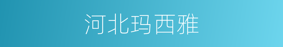 河北玛西雅的同义词