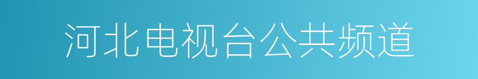河北电视台公共频道的同义词