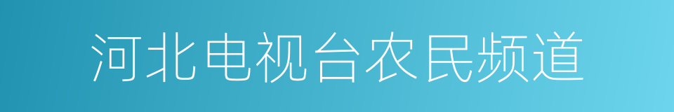 河北电视台农民频道的同义词