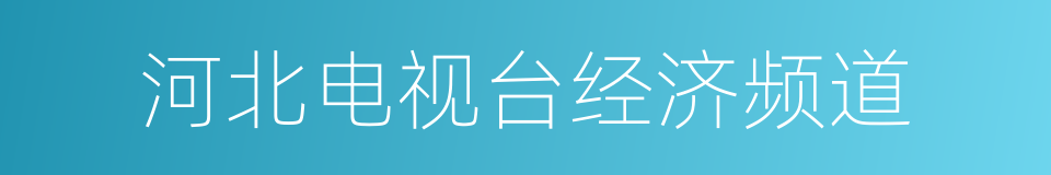 河北电视台经济频道的同义词