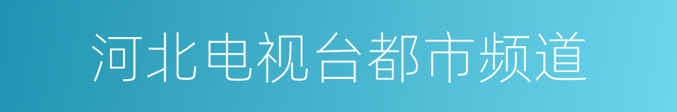 河北电视台都市频道的同义词