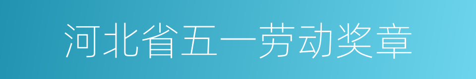 河北省五一劳动奖章的同义词