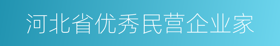 河北省优秀民营企业家的同义词