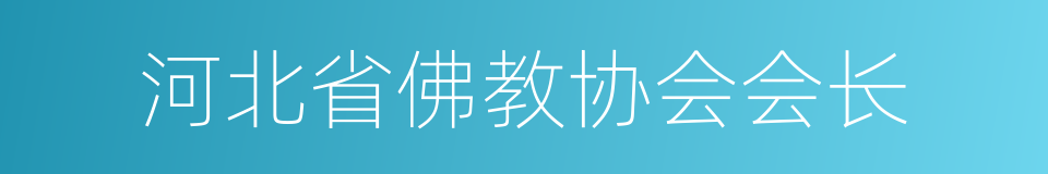 河北省佛教协会会长的同义词