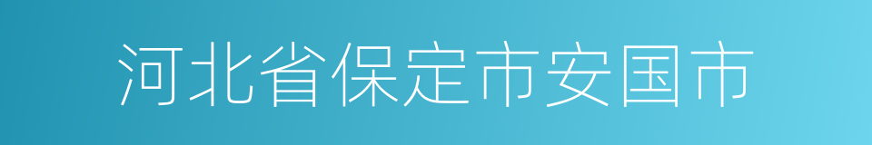 河北省保定市安国市的同义词