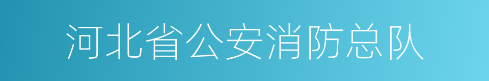 河北省公安消防总队的同义词