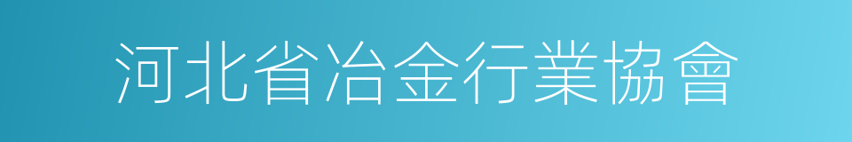 河北省冶金行業協會的同義詞