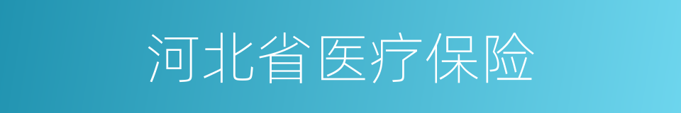 河北省医疗保险的同义词