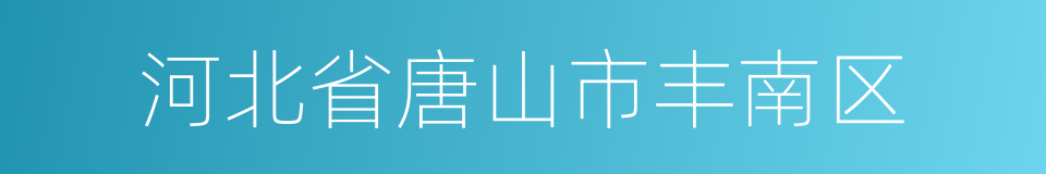 河北省唐山市丰南区的同义词