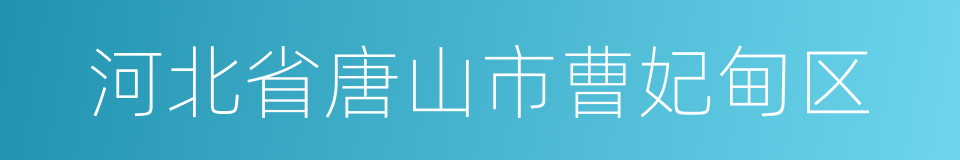 河北省唐山市曹妃甸区的同义词