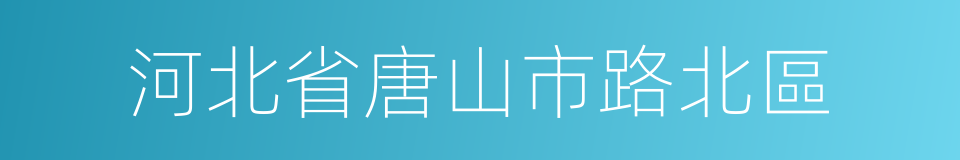 河北省唐山市路北區的同義詞