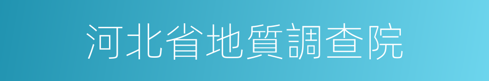 河北省地質調查院的同義詞