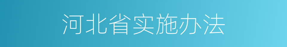 河北省实施办法的同义词