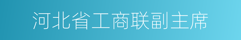 河北省工商联副主席的同义词