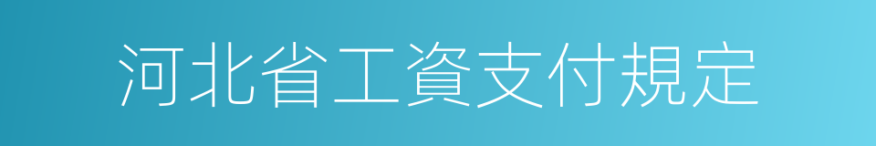 河北省工資支付規定的同義詞