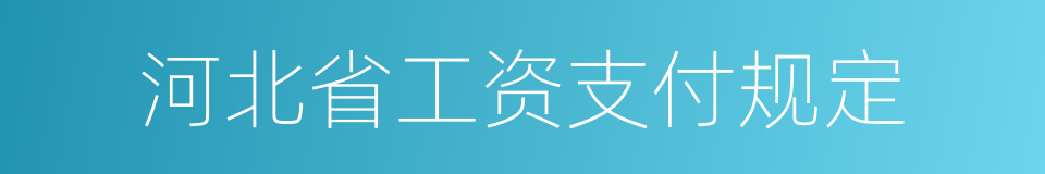 河北省工资支付规定的同义词