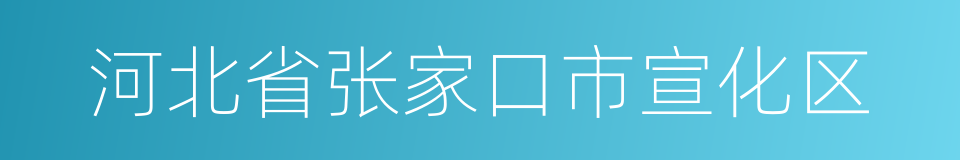 河北省张家口市宣化区的同义词