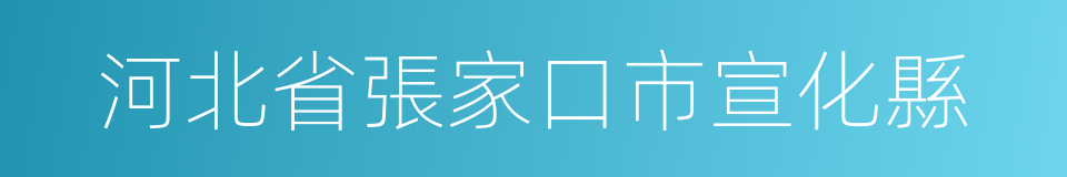 河北省張家口市宣化縣的同義詞