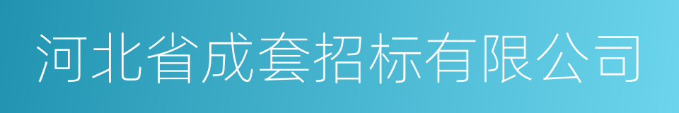 河北省成套招标有限公司的意思