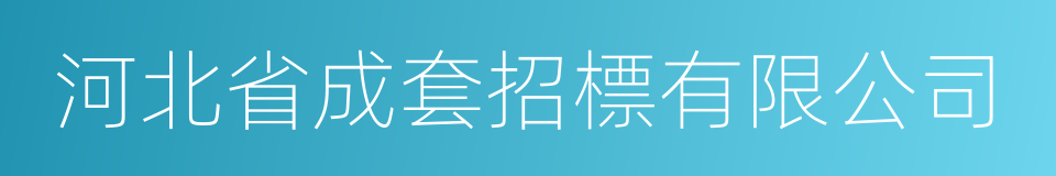 河北省成套招標有限公司的意思