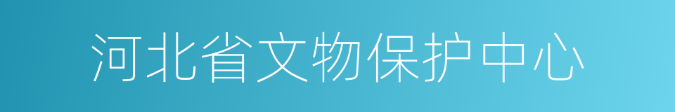 河北省文物保护中心的同义词