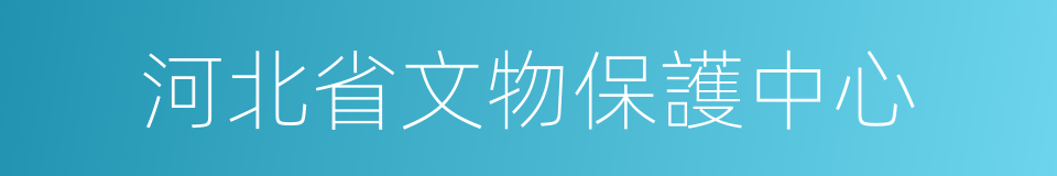 河北省文物保護中心的同義詞