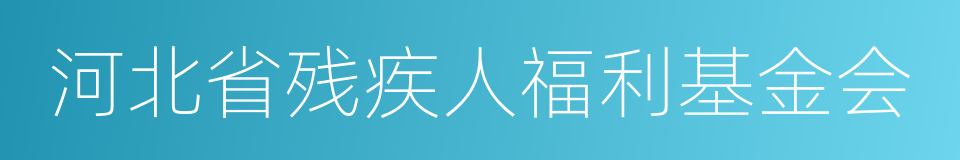 河北省残疾人福利基金会的同义词