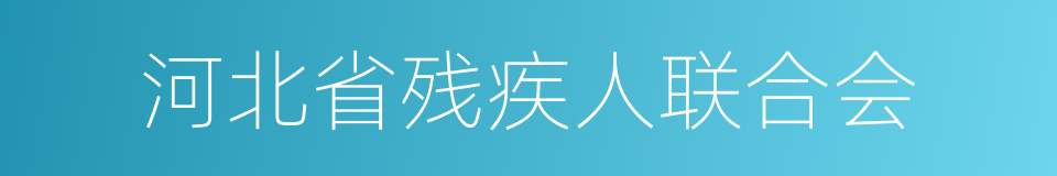 河北省残疾人联合会的同义词