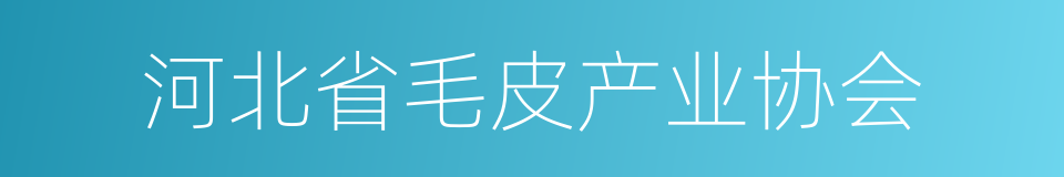 河北省毛皮产业协会的同义词