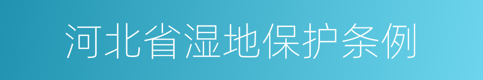 河北省湿地保护条例的同义词