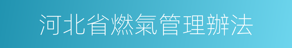 河北省燃氣管理辦法的同義詞